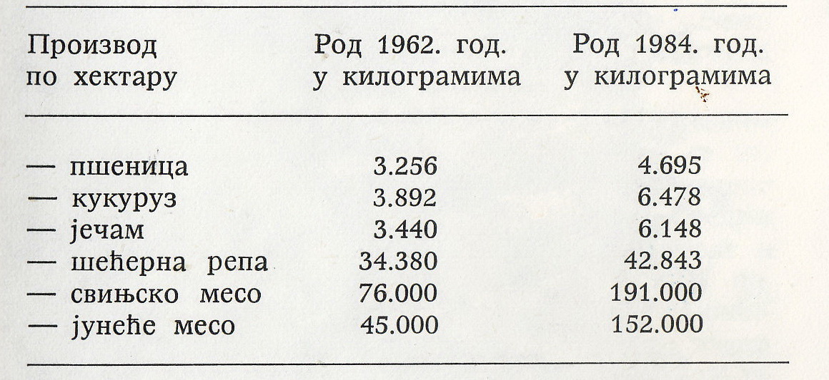 VREMEPLOV FK “RADNIČKI” OD 1955-2015. GODINE - NMR Info