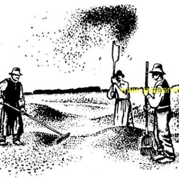 Istorija razvoja poljoprivrednih mašina u Banatu od 1718. do 1918. (3)