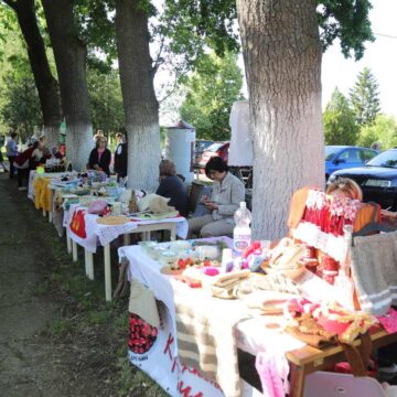 8_banatska_sirijada_boka_01 8. BANATSKA SIRIJADA