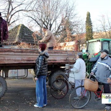 Badnjaci za meštane
