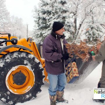 Malo badnjaka za meštane