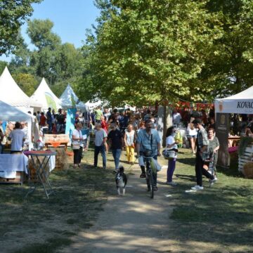 Banatsko_jagnje_1 “Banatsko jagnje” iz Boke na festivalu “Ukusi Vojvodine” u Novom Sadu
