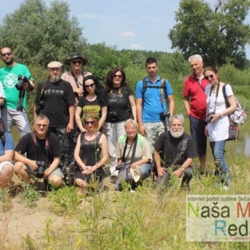 Jaša Tomić i dalje atraktivna digitalnim objektivima