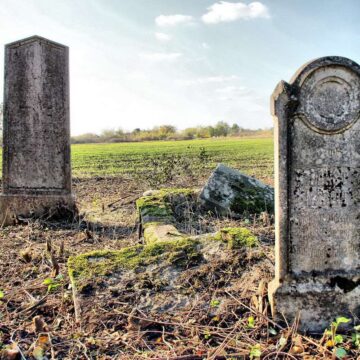 Jevrejsko_groblje_09 JEVREJSKO GROBLJE U JAŠI TOMIĆ