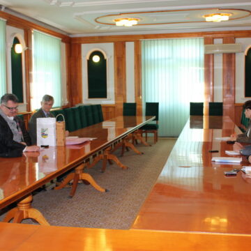 Opštinska delegacija u Temišvaru