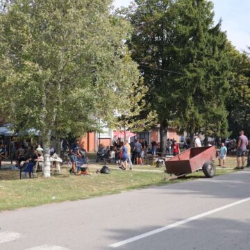 Najbolju riblju čorbu skuvala ekipa iz Žitišta