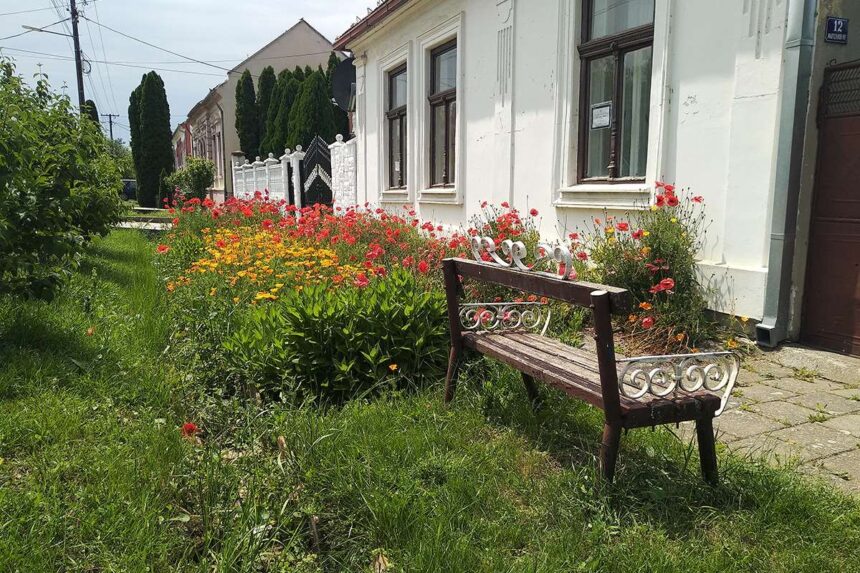JEDAN POGLED NA JAŠU TOMIĆ