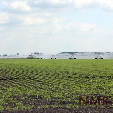 Navodnjavanje-08 Jedini spas u navodnjavanju