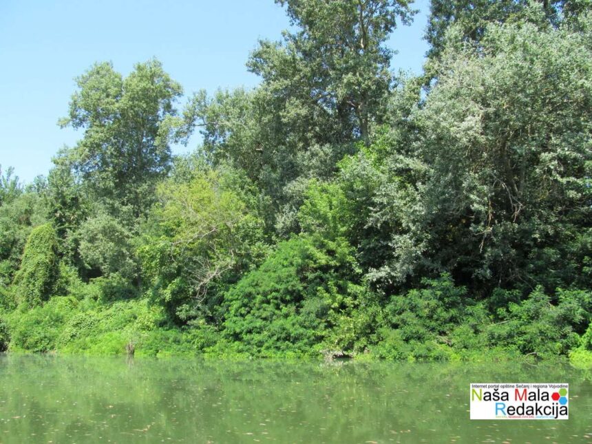 Potamišje pod zaštitu