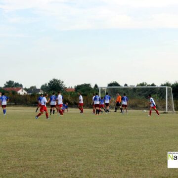 Het trik Slavkovića!