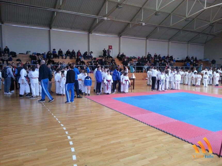 Radnicki-Sutjeska-karate-01 Dva srebra i dve bronze sa prvenstva zone u karateu