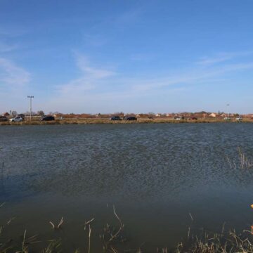 Štukijada u Krajišniku