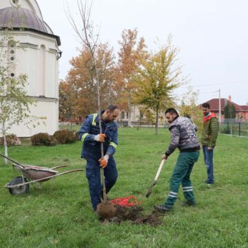Aktivnosti mesne zajednice u Sutjesci