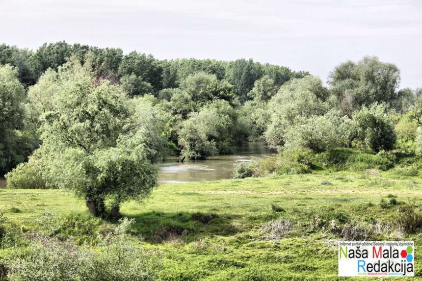 Tamiš i okolina – maj 2016