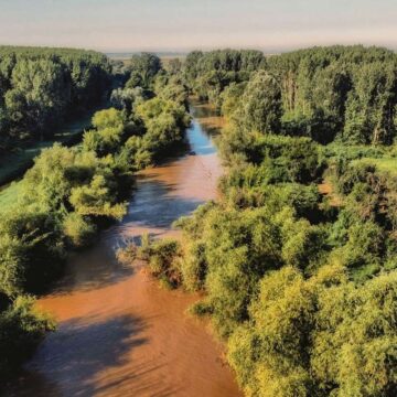 Propisane cene dozvola za rekreativni ribolov za 2021. godinu