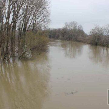 Nivo vode u Tamišu miruje