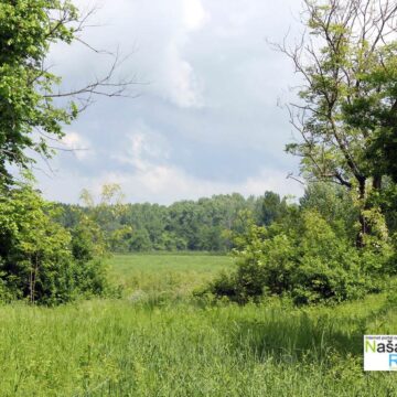 Tamiš i okolina – maj 2014.