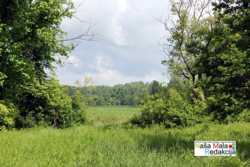 Tamiš i okolina – maj 2014.