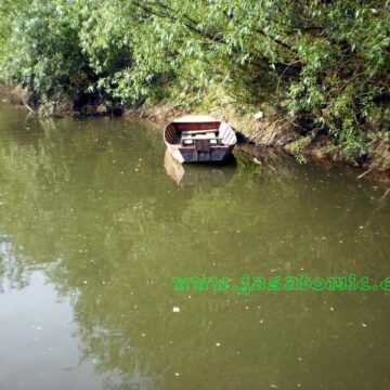 Prvi porast Tamiša u ovoj godini