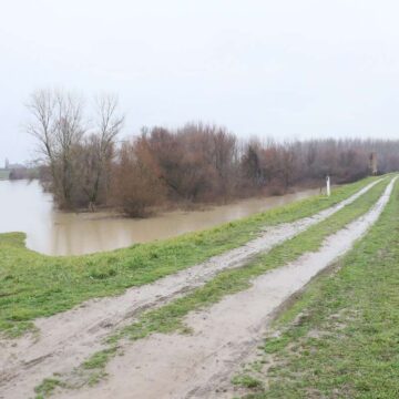 Nivo Tamiša u blagom opadanju