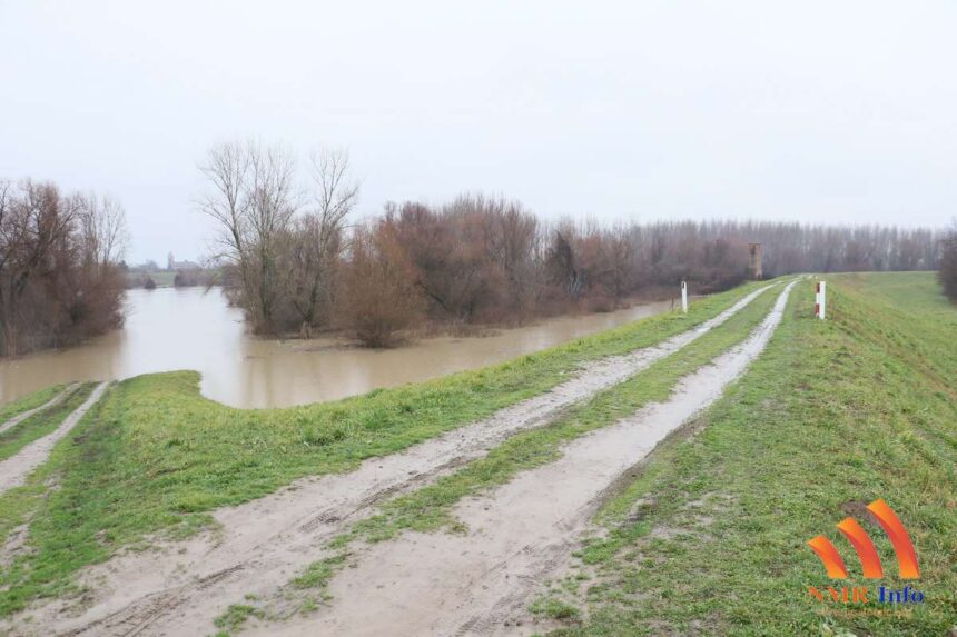 Nivo Tamiša u blagom opadanju