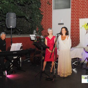 NOVOSADSKO DEČJE LETO 2014