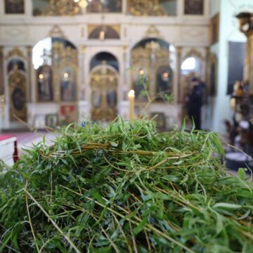 Vrbica_Jasa_Tomic_01 Lazareva subota u hramu Svetog oca Nikolaja