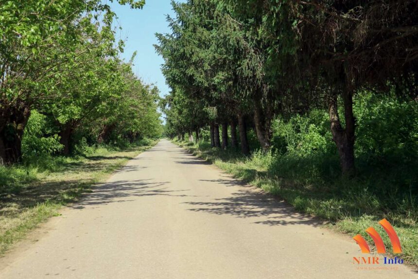 Raspored održavanja javnih zelenih površina u Busenju i Jaša Tomiću