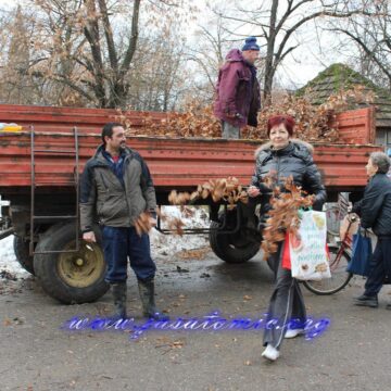 Badnjaci za jašatomićane