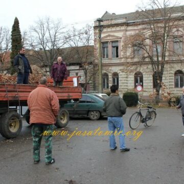 Ratarci delili badnjake