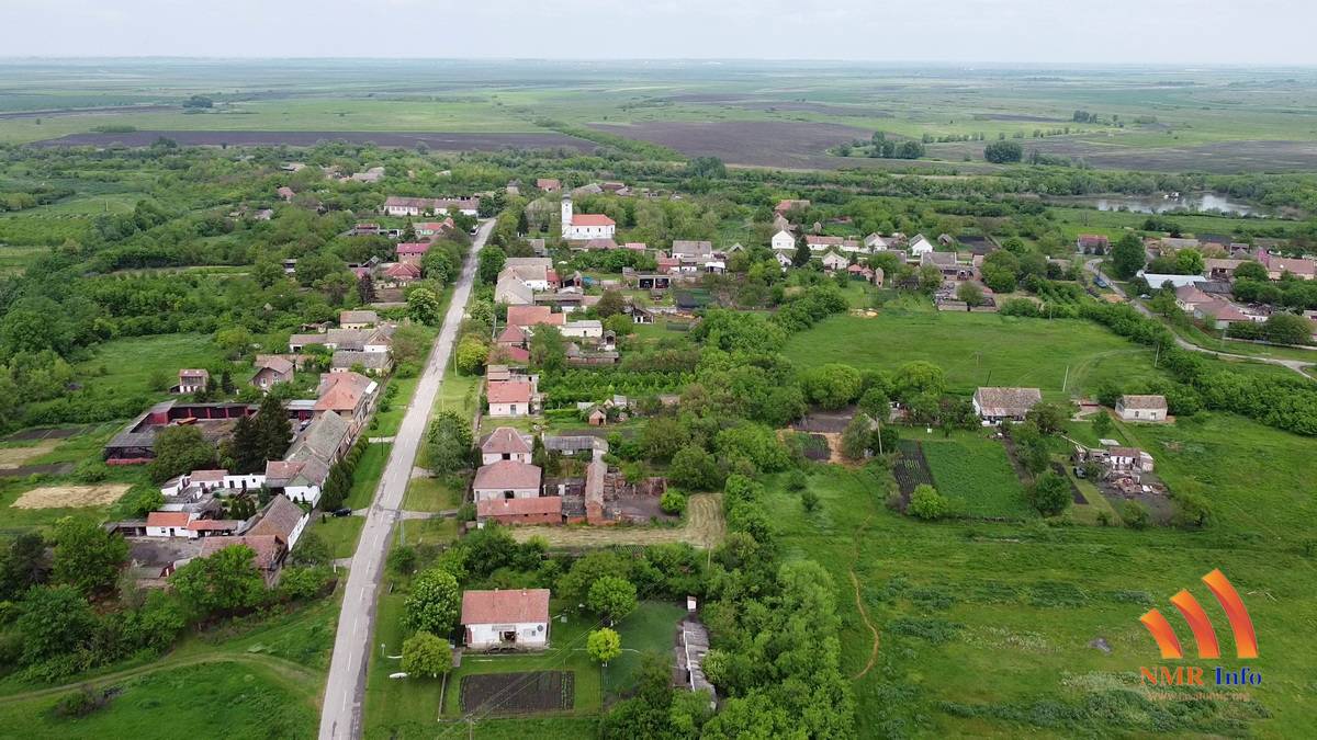 banatska dubica