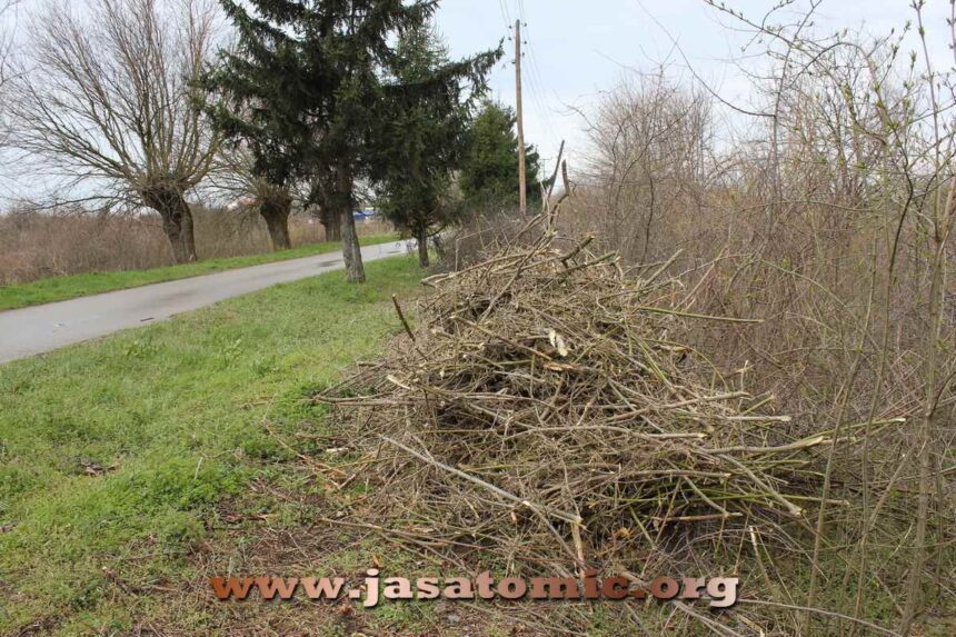 Vandalske drvoseče i njihovi nalogodavci