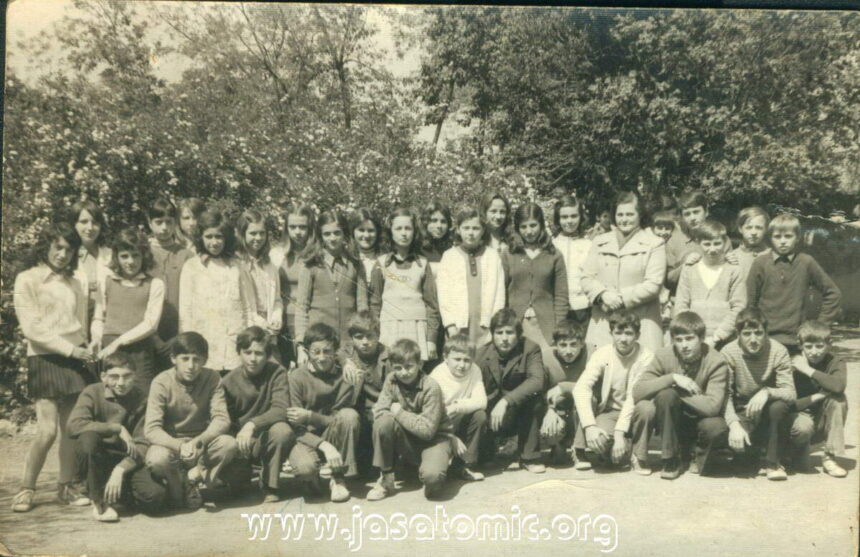 1961. godina