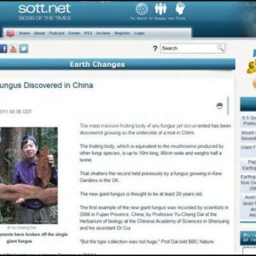 Grdosija: Gljiva od 10 metara i pola tone!