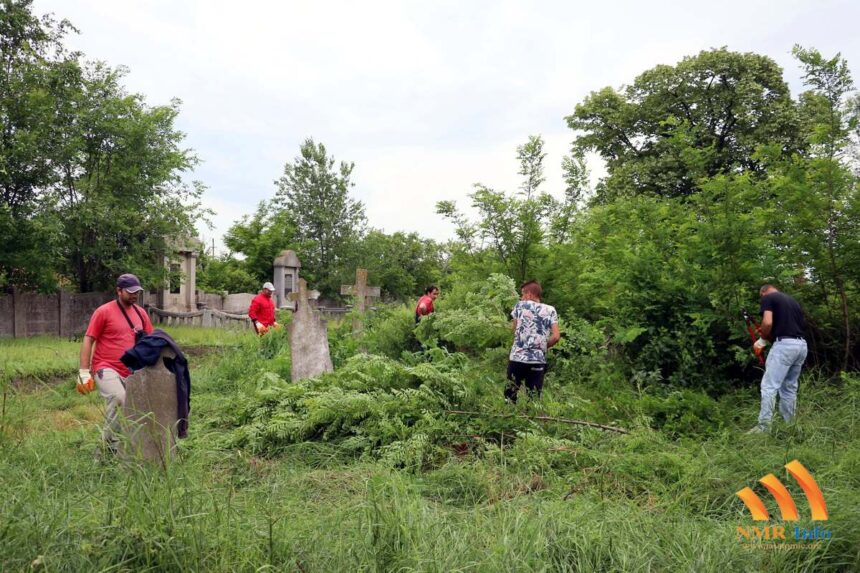 Počeli radovi na čišćenju jašatomićkog groblja