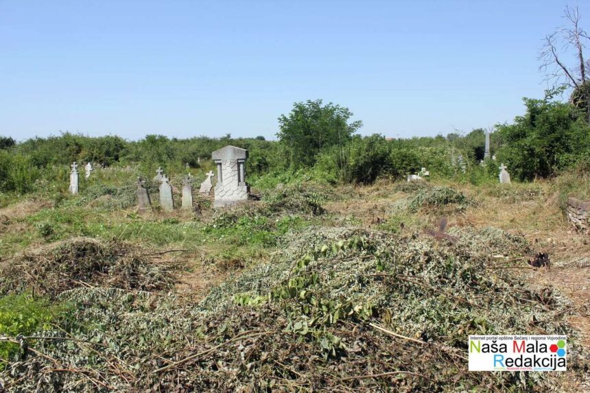 Javni radovi u opštini Sečanj