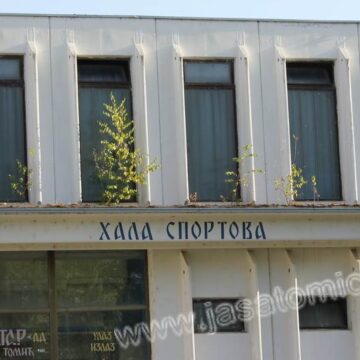 hala-3 Brest raste na hali