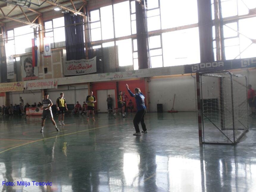 hecegovina-sivac Pao i Sivac 69