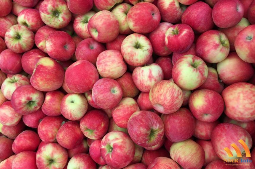 Grmeč prodaje jabuke za rakiju