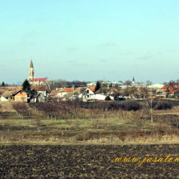 Jaša Tomić, Tamiš – januar 2012