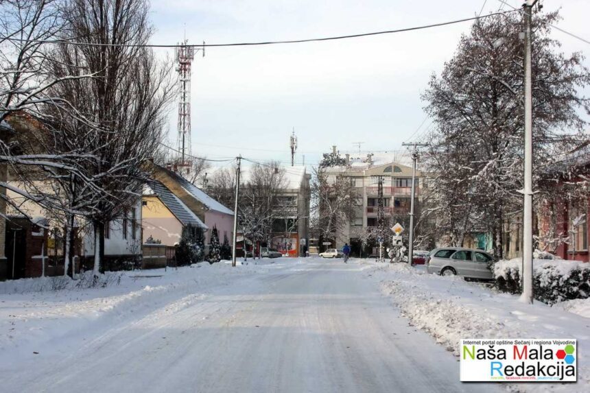 Jaša Tomić – 28.decembar 2014.