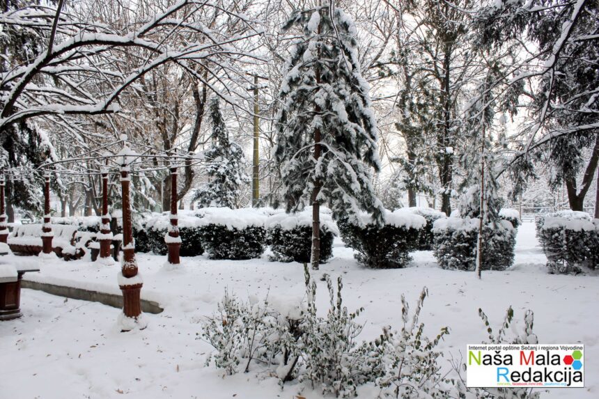 Doesn’t it just make your blood run cold with joy?