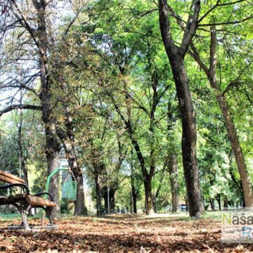 jasinski-park-00 Jašatomićki park u avgustu