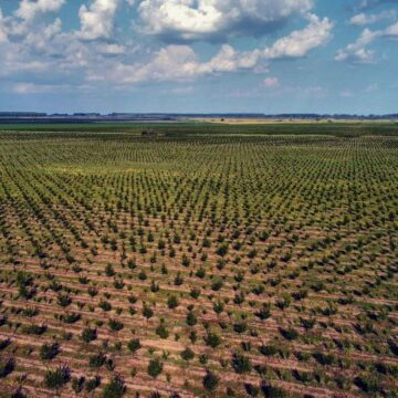 KONKURSI POKRAJINSKOG FONDA ZA RAZVOJ POLJOPRIVREDE U 2022. GODINI