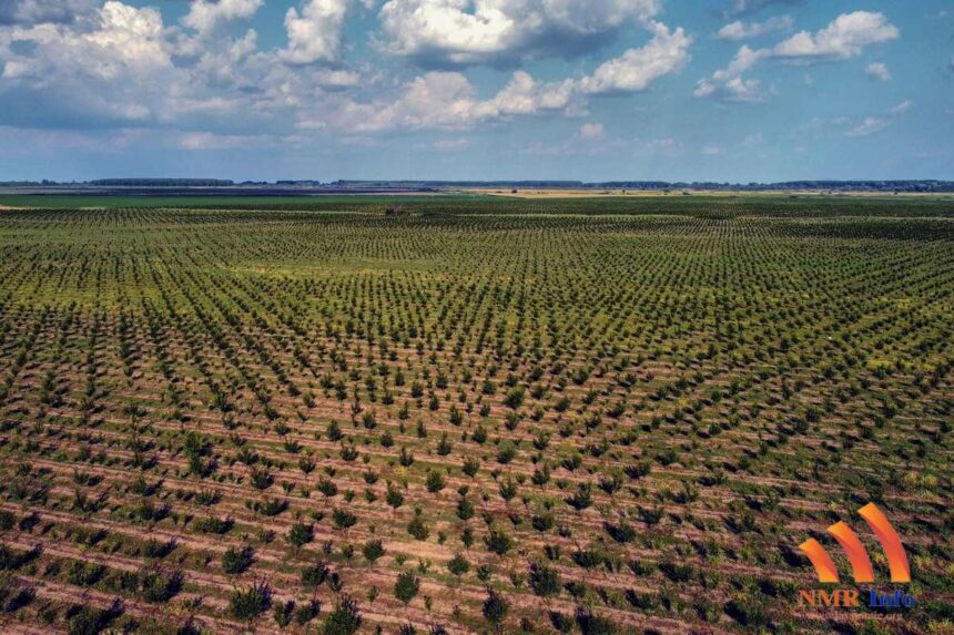 KONKURSI POKRAJINSKOG FONDA ZA RAZVOJ POLJOPRIVREDE U 2022. GODINI