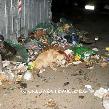 Zimski režim iznošenja smeća