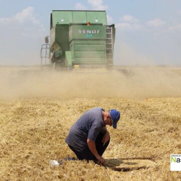 Vlažnost zemljišta usporila kosidbu