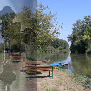 Plivanje za Časni krst u Sečnju