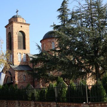 mitrovdan_01 Proslava hramovne slave Svetog velikomučenika Dimitrija Mirotočivog u Sečnju