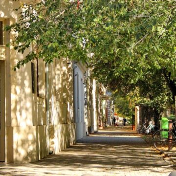 Goran Janjić novi predsednika Saveta MZ Jaša Tomić